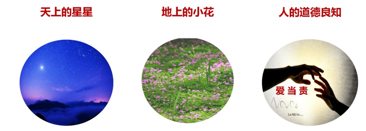 LED照明人如何實現碳中和、碳達峰(11.17)_53